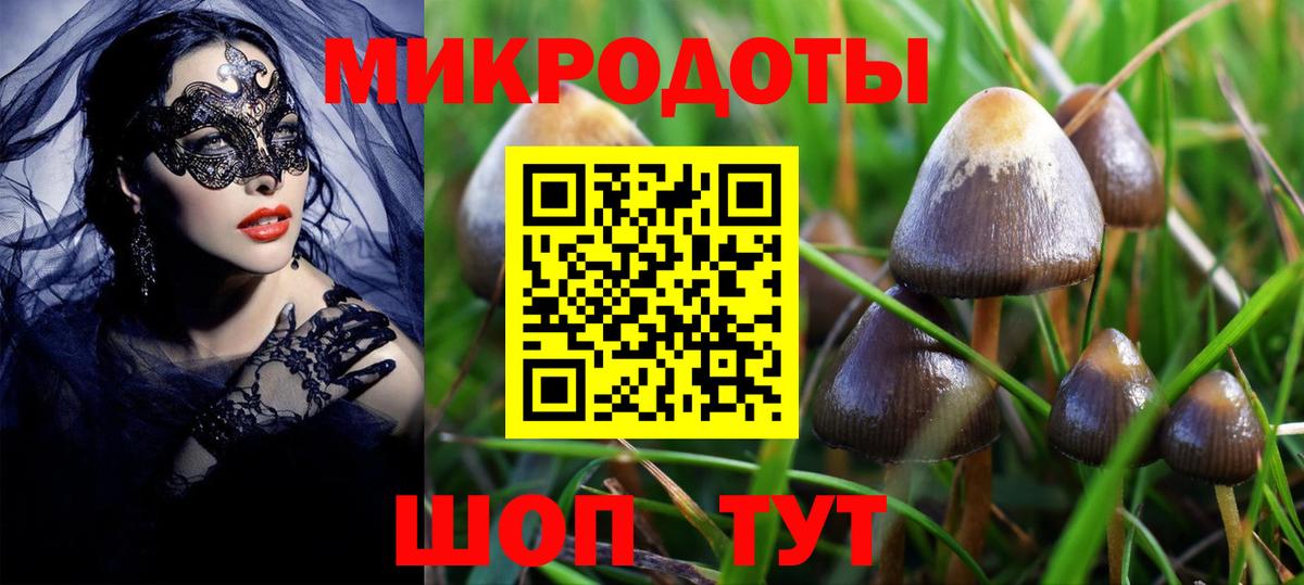 Псилоцибиновые грибы Psilocybe  Вход с VPN  Краснокаменск 